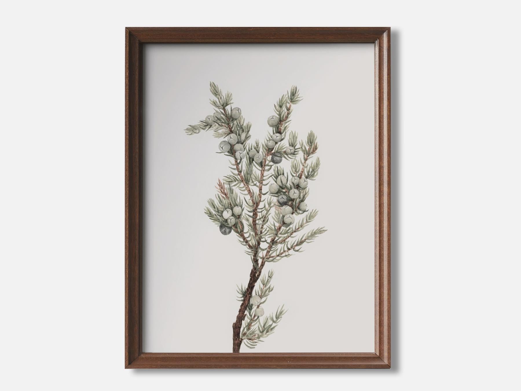 Mountain Juniper Art Print Everart