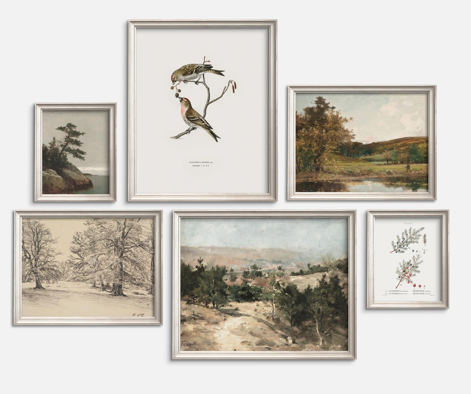 Forest Gallery Wall - Vintage Print Set of 6 – Everart