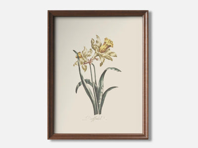 Daffodil mockup - A_spr55-V1-PC_F+WA-SS_1-PS_5x7-C_def