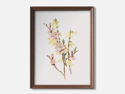 Peach Blossoms and Forsythia mockup - A_spr5-V1-PC_F+WA-SS_1-PS_5x7-C_def