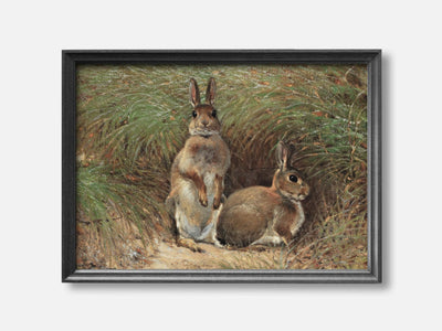 Rabbits mockup - A_spring1-V1-PC_F+B-SS_1-PS_5x7-C_def