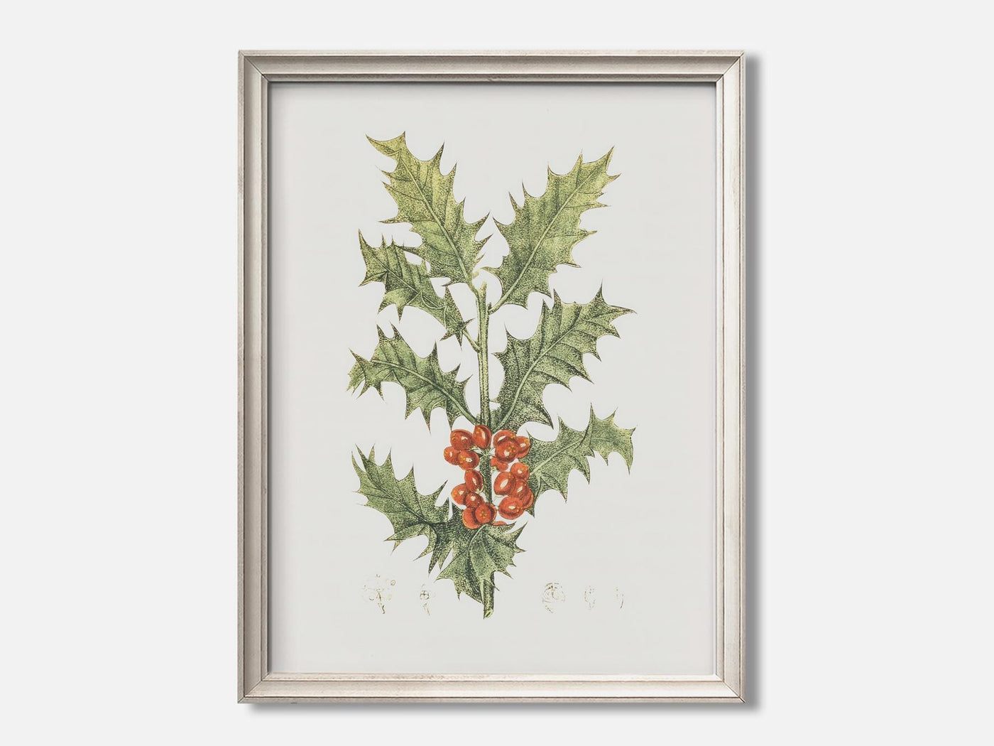 Hand-drawn Holly mockup - A_w62-V1-PC_F+O-SS_1-PS_5x7-C_def