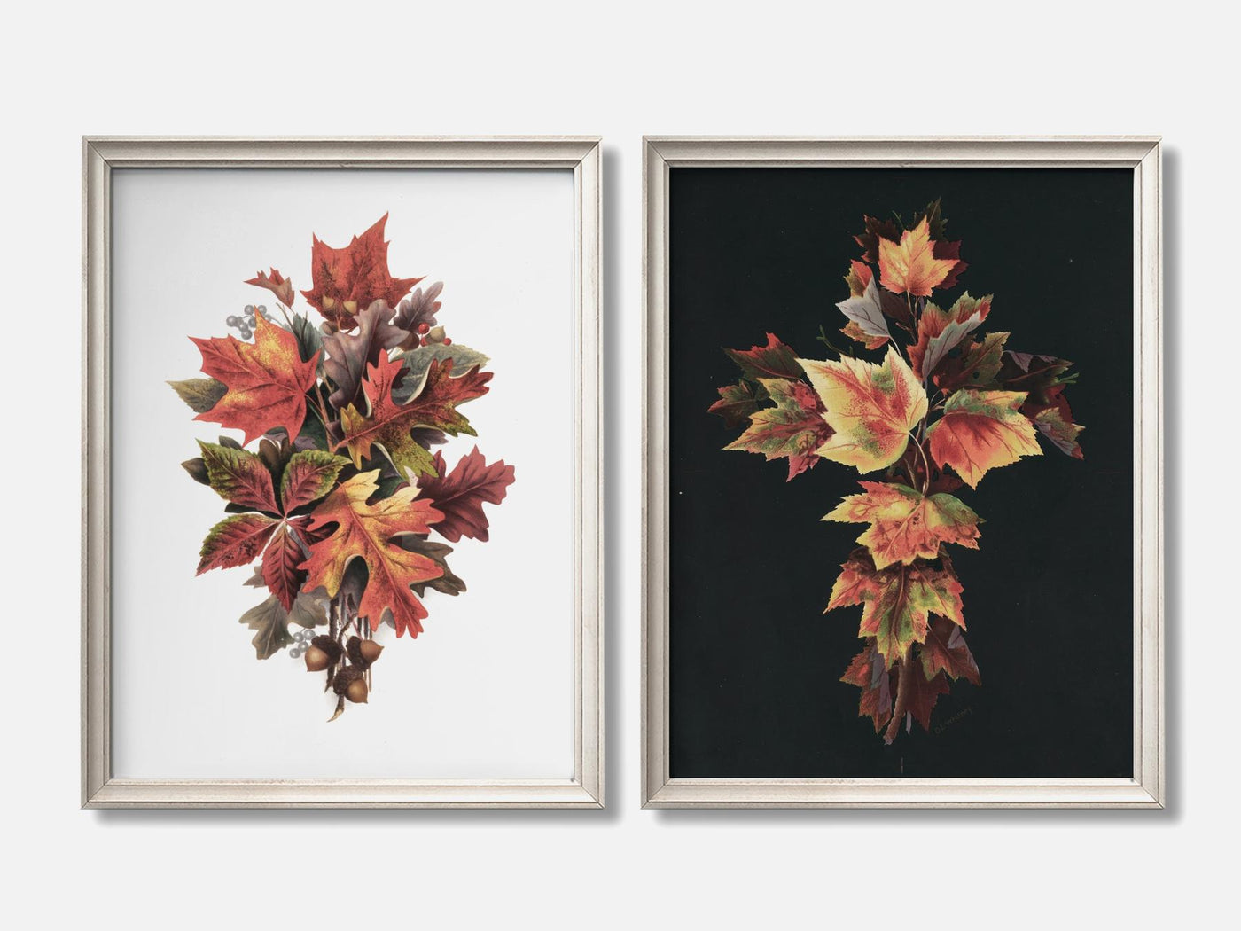 Autumn Leaves Set of 2 mockup - A_autumn1-V1-PC_F+O-SS_2-PS_11x14-C_def variant