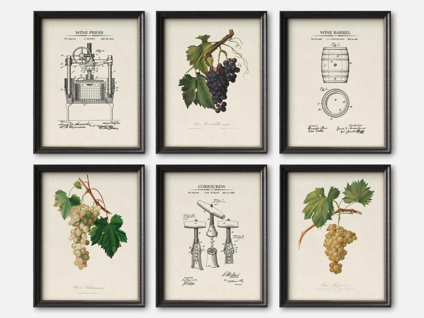 Vintage Wine Cellar Print Set of 6 mockup - A_ms5-V1-PC_F+B-SS_6-PS_5x7-C_lpa variant