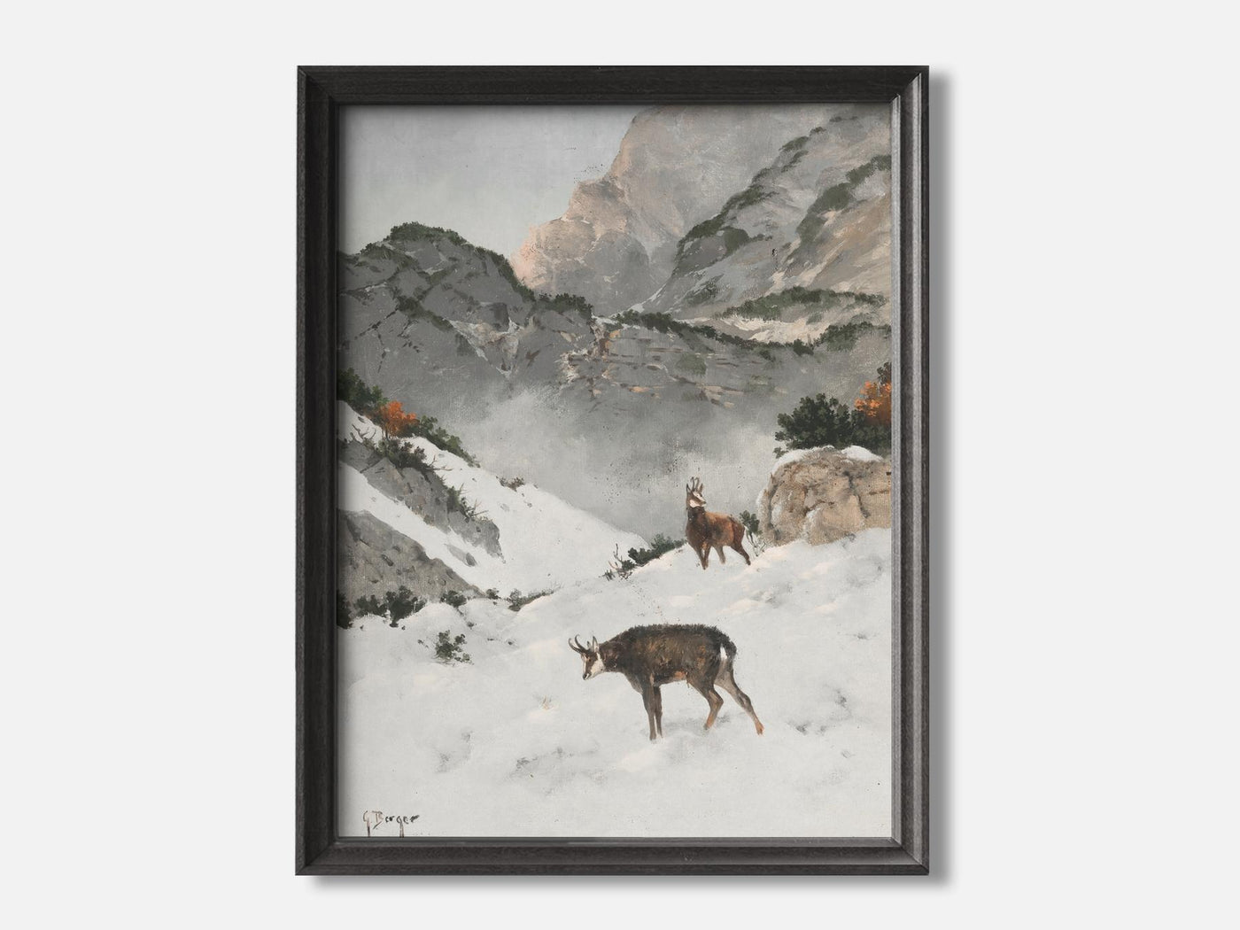 Chamois in the high mountains mockup - A_w27-V1-PC_F+B-SS_1-PS_5x7-C_def variant