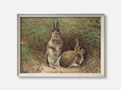 Rabbits mockup - A_spring1-V1-PC_F+O-SS_1-PS_5x7-C_def