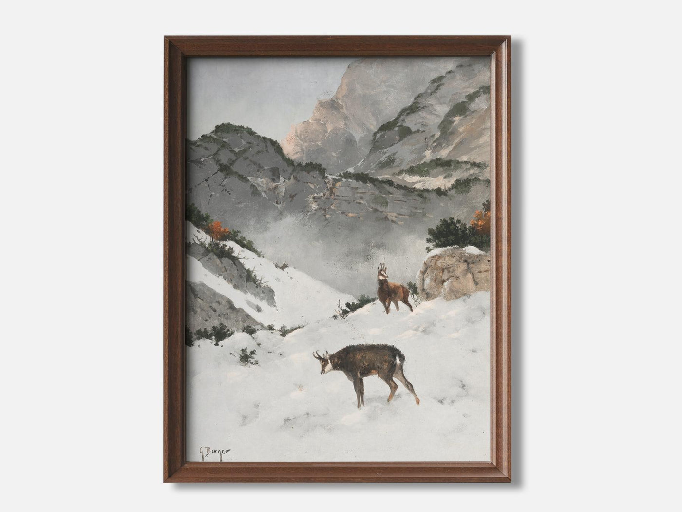 Chamois in the high mountains mockup - A_w27-V1-PC_F+WA-SS_1-PS_5x7-C_def