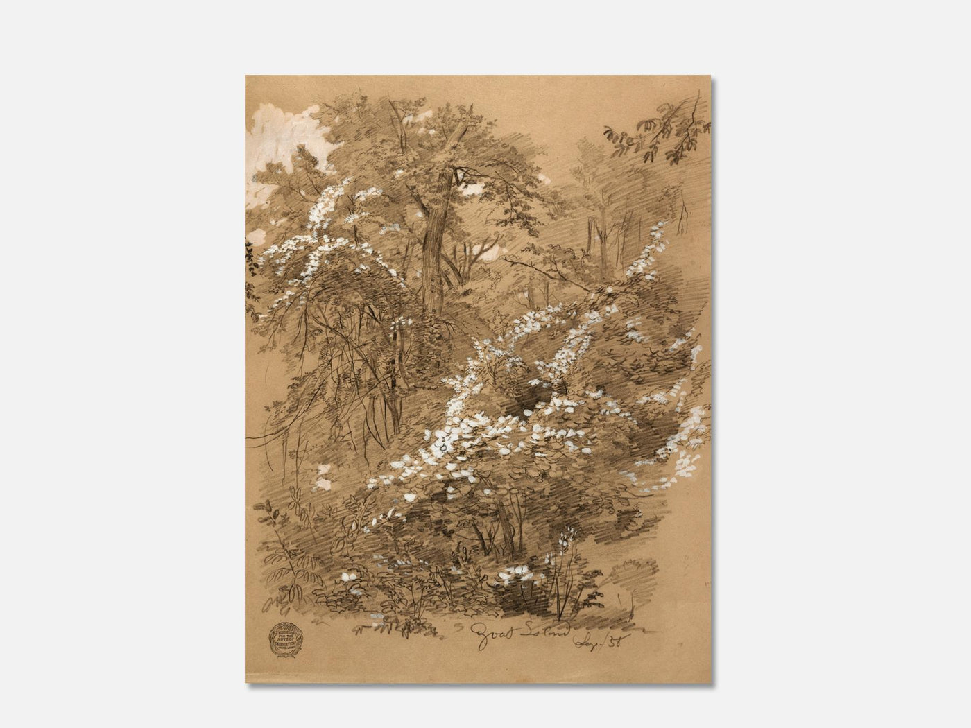 Woodland Scene, Goat Island, Niagara River, New York (1858) Art Print mockup - A_d54-V1-PC_AP-SS_1-PS_5x7-C_def