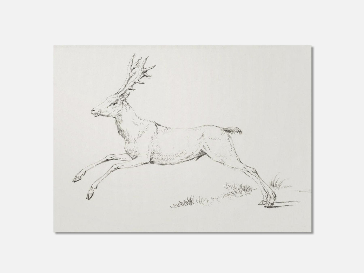 Jumping deer Art Print mockup - A_d6-V1-PC_AP-SS_1-PS_5x7-C_def