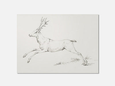 Jumping deer Art Print mockup - A_d6-V1-PC_AP-SS_1-PS_5x7-C_def