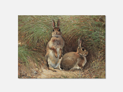 Rabbits mockup - A_spring1-V1-PC_AP-SS_1-PS_5x7-C_def variant