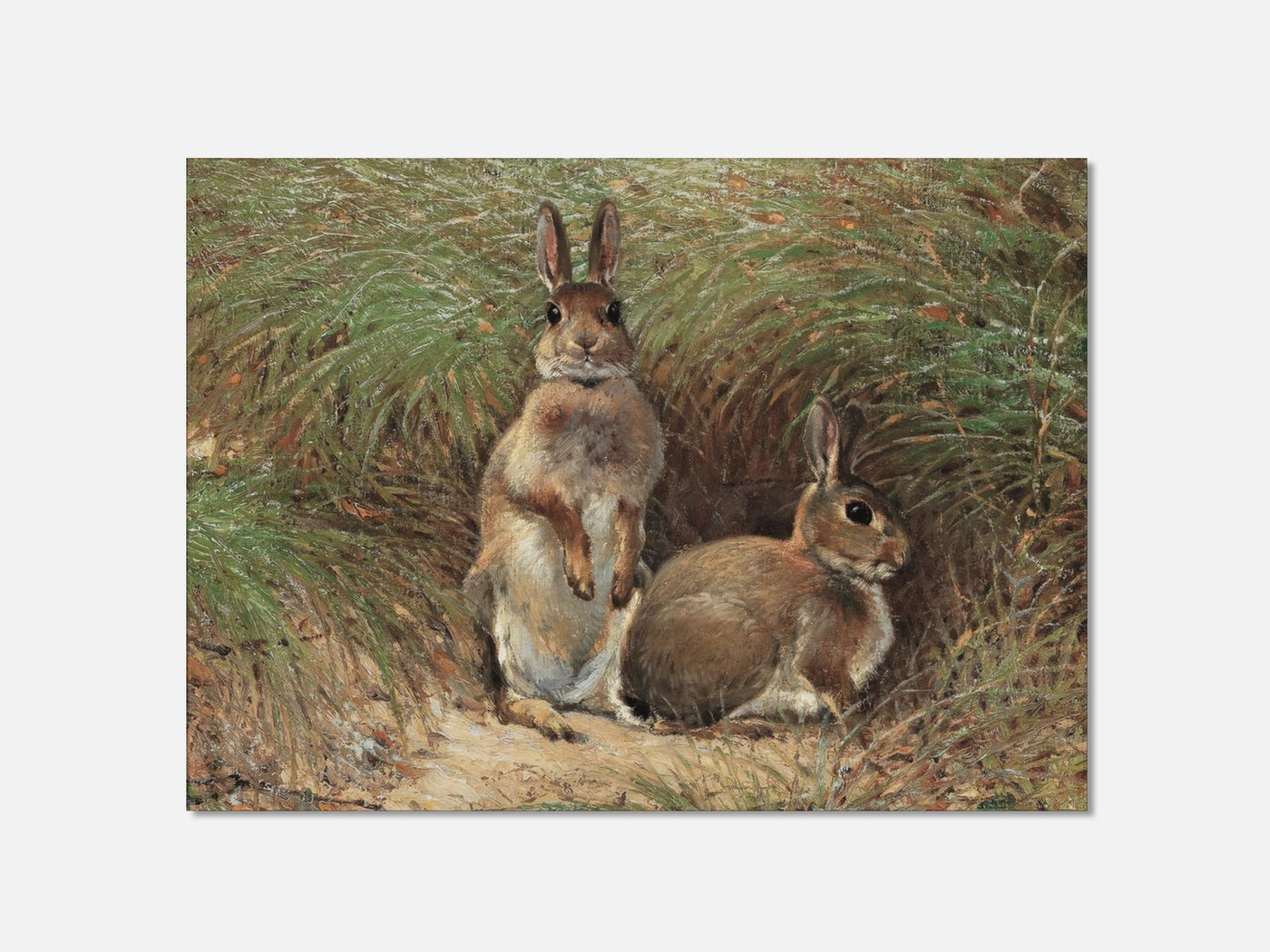 Rabbits mockup - A_spring1-V1-PC_AP-SS_1-PS_5x7-C_def