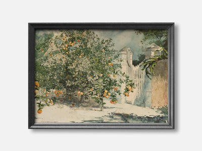 Orange Trees and Gate (1885) Art Print mockup - A_p101-V1-PC_F+B-SS_1-PS_5x7-C_def variant