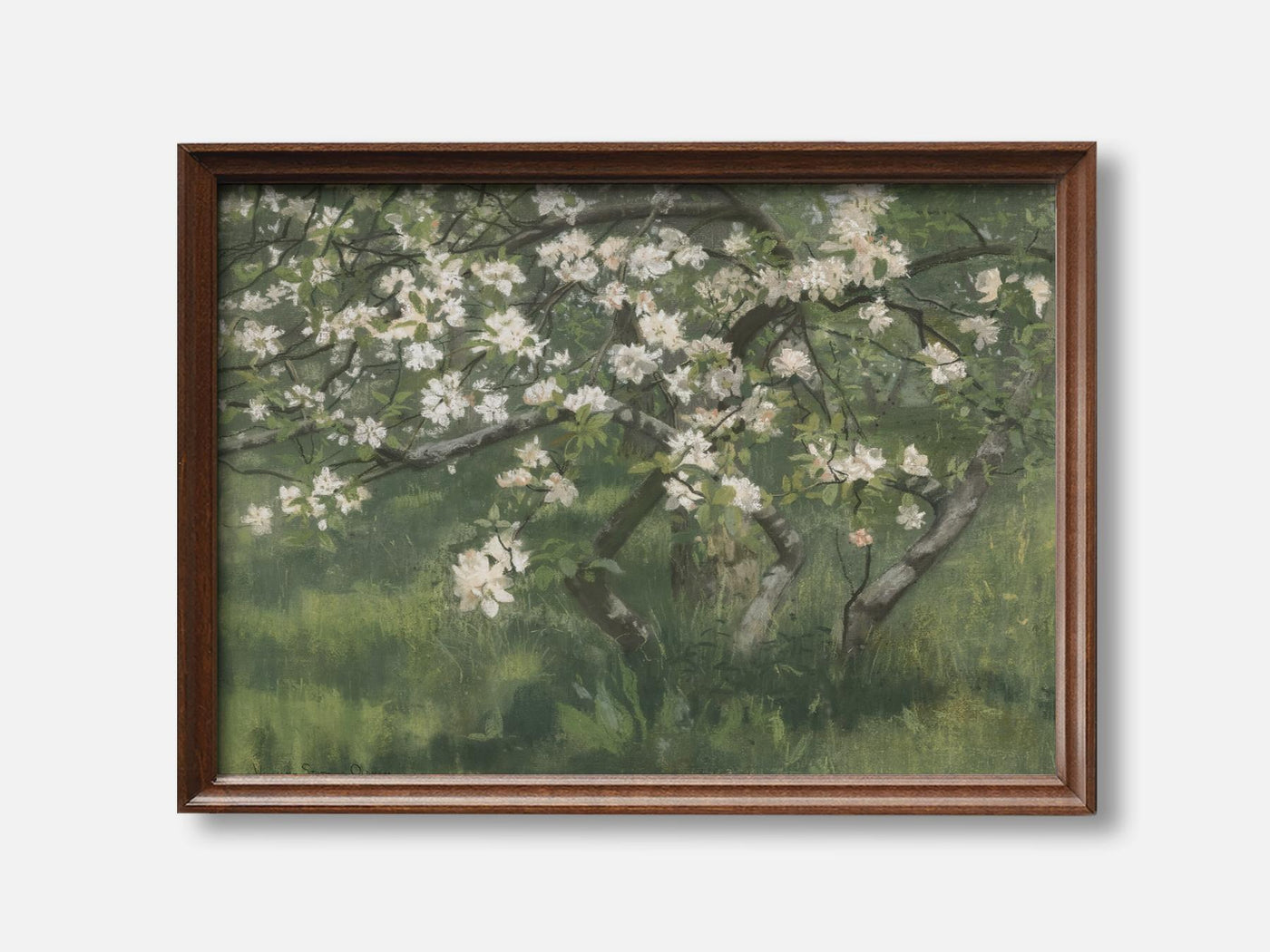 Apple Tree in Blossom mockup - A_spr47-V1-PC_F+WA-SS_1-PS_5x7-C_def