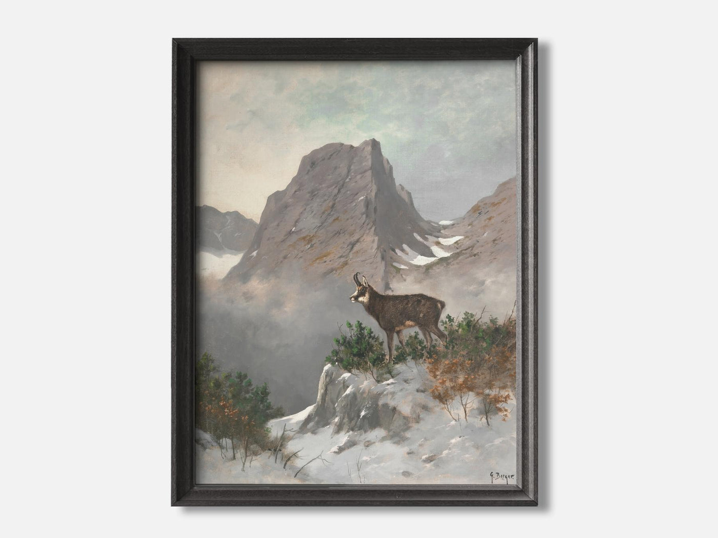 A Chamois High in the Mountains mockup - A_w40-V1-PC_F+B-SS_1-PS_5x7-C_def variant