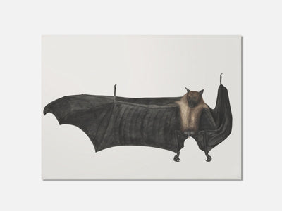 Great Indian Fruit Bat mockup - A_h16-V1-PC_AP-SS_1-PS_5x7-C_def variant