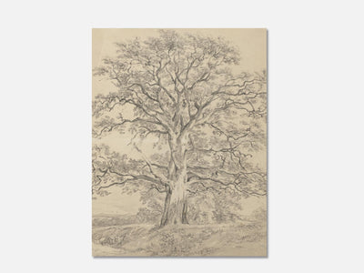 A Great Oak Tree (c. 1801) 1 Unframed mockup