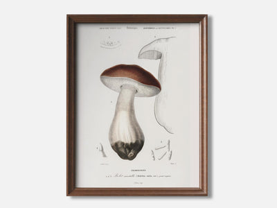 Penny Bun Mushroom Art Print mockup - A_bot13-V1-PC_F+WA-SS_1-PS_5x7-C_def variant
