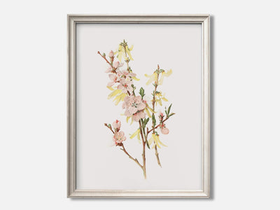 Peach Blossoms and Forsythia mockup - A_spr5-V1-PC_F+O-SS_1-PS_5x7-C_def