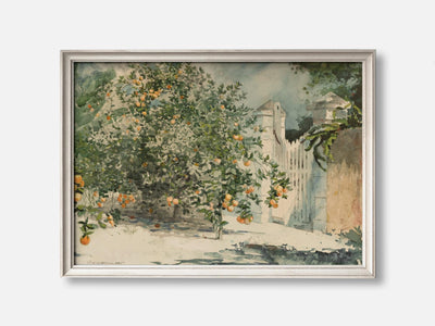 Orange Trees and Gate (1885) Art Print mockup - A_p101-V1-PC_F+O-SS_1-PS_5x7-C_def