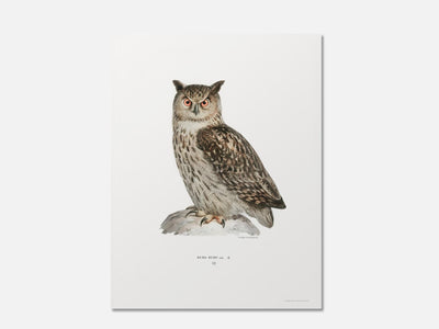 Eurasian Eagle-Owl mockup - A_ani10-V1-PC_AP-SS_1-PS_5x7-C_def variant