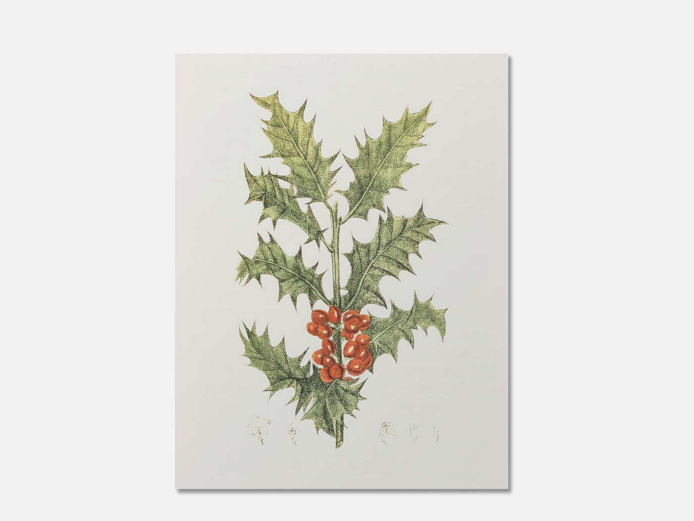 Hand-drawn Holly mockup - A_w62-V1-PC_AP-SS_1-PS_5x7-C_def