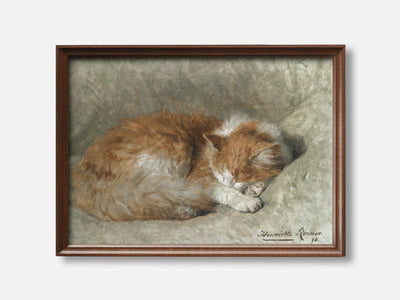 A Sleeping Cat mockup - A_n10-V1-PC_F+WA-SS_1-PS_5x7-C_def