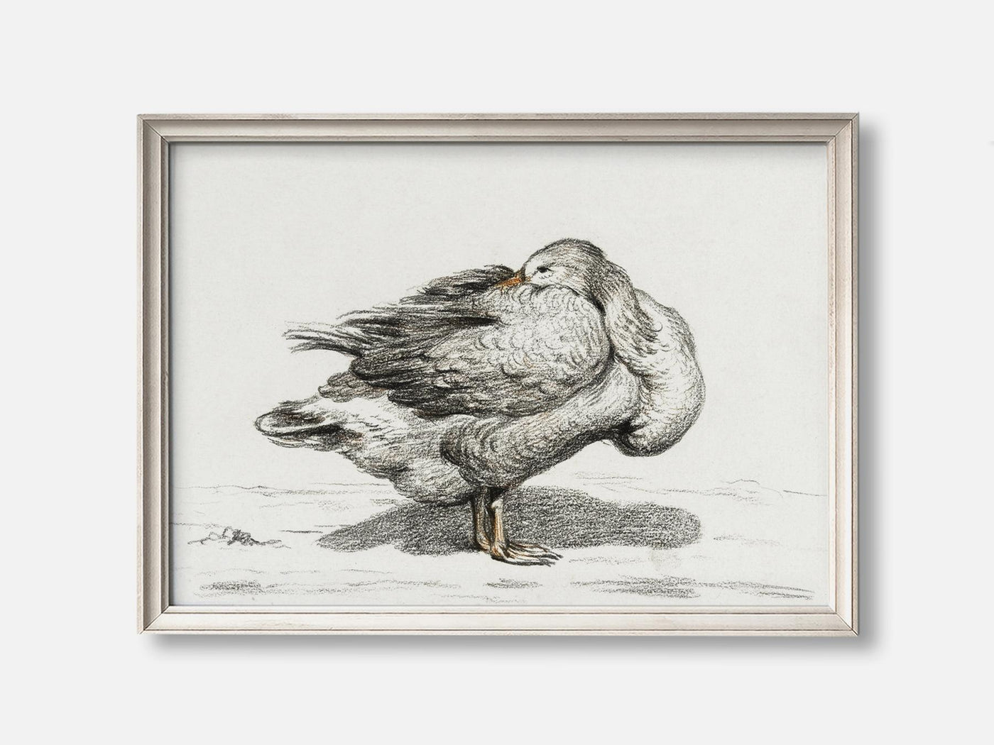Goose (1816) Art Print mockup - A_d11-V1-PC_F+O-SS_1-PS_5x7-C_def variant