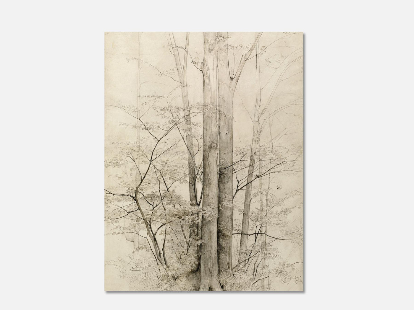 A Stand of Trees (1840) Art Print mockup - A_d31-V1-PC_AP-SS_1-PS_5x7-C_def