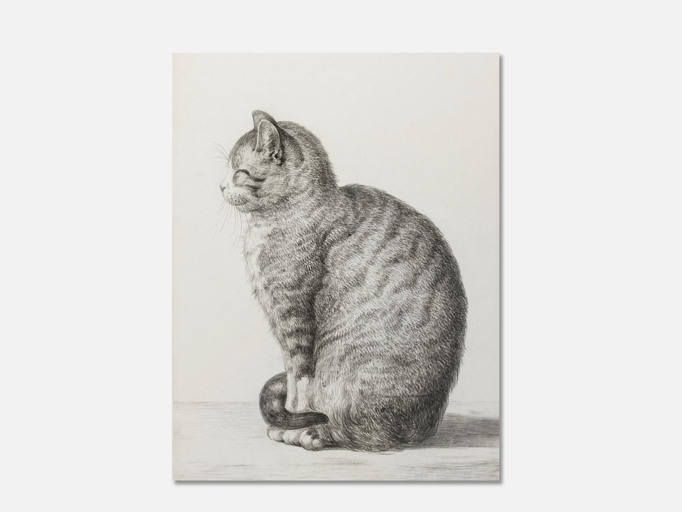 Sitting cat (1815) Art Print mockup - A_d4-V1-PC_AP-SS_1-PS_5x7-C_def