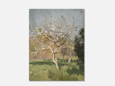 Apple Tree in Blossom mockup - A_spr53-V1-PC_AP-SS_1-PS_5x7-C_def