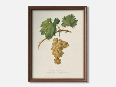 Grape Vine 1 Walnut - Light Parchment mockup