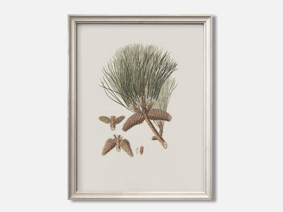 Frankincense Pine mockup - A_w52-V1-PC_F+O-SS_1-PS_5x7-C_def