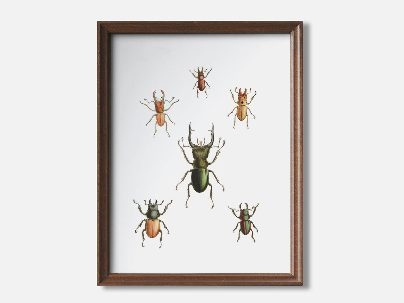 Stag Beetles mockup - A_h7-V1-PC_F+WA-SS_1-PS_5x7-C_def