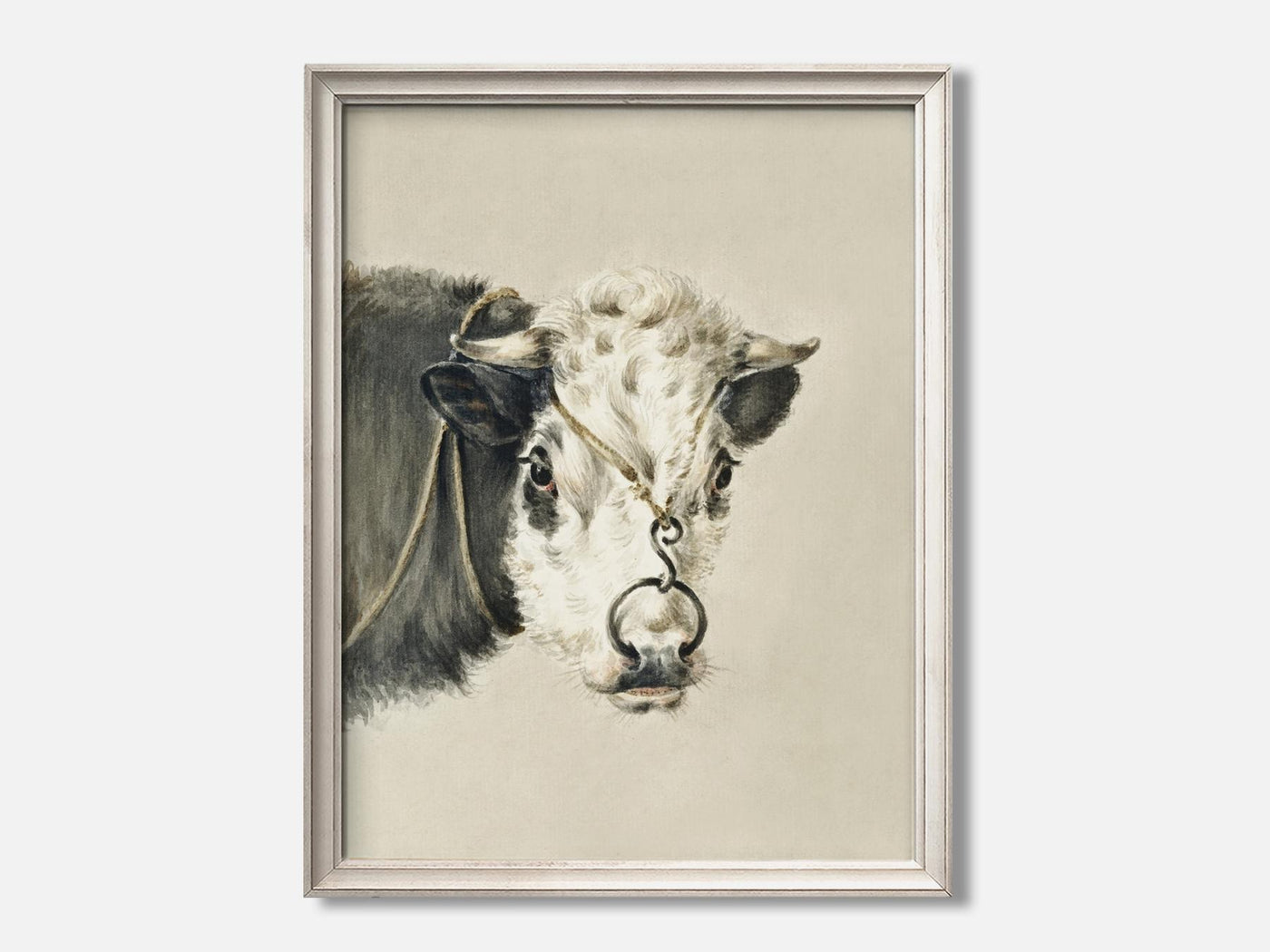Head of a cow, with a ring through the nose (1820) Art Print mockup - A_d1-V1-PC_F+O-SS_1-PS_5x7-C_def variant