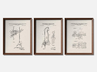 Chiropractic Patent Print Set of 3 mockup - A_t10095-V1-PC_F+WA-SS_3-PS_11x14-C_ivo variant