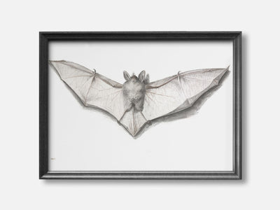 Bat with Outspread Wings mockup - A_h10-V1-PC_F+B-SS_1-PS_5x7-C_def variant