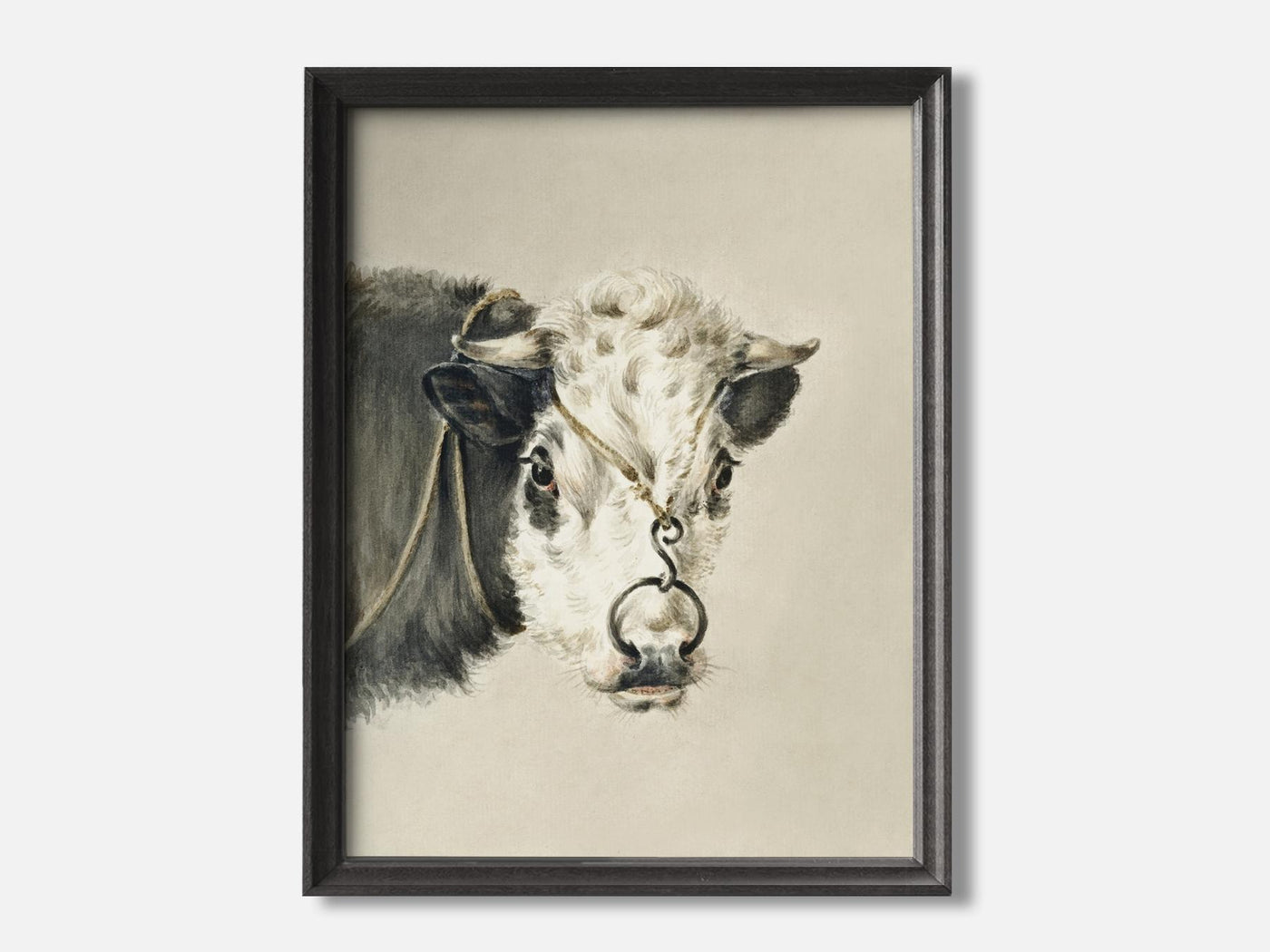 Head of a cow, with a ring through the nose (1820) Art Print mockup - A_d1-V1-PC_F+B-SS_1-PS_5x7-C_def variant