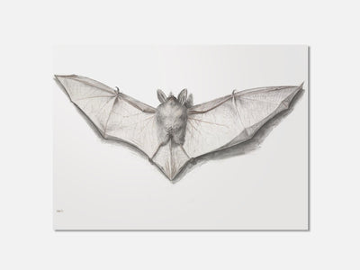 Bat with Outspread Wings mockup - A_h10-V1-PC_AP-SS_1-PS_5x7-C_def variant