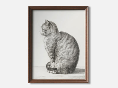 Sitting cat (1815) Art Print mockup - A_d4-V1-PC_F+WA-SS_1-PS_5x7-C_def
