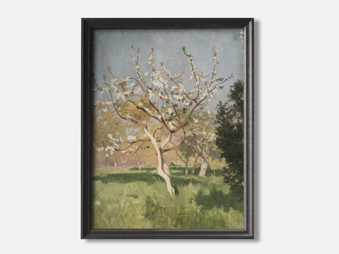 Apple Tree in Blossom mockup - A_spr53-V1-PC_F+B-SS_1-PS_5x7-C_def