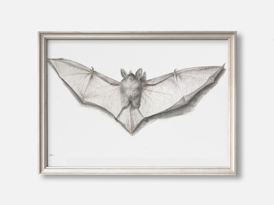 Bat with Outspread Wings mockup - A_h10-V1-PC_F+O-SS_1-PS_5x7-C_def variant
