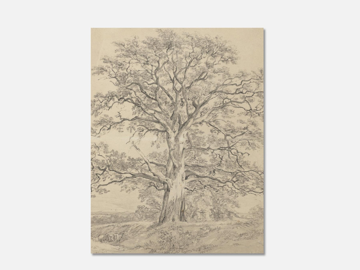 A Great Oak Tree (c. 1801) Art Print mockup - A_d30-V1-PC_AP-SS_1-PS_5x7-C_def variant