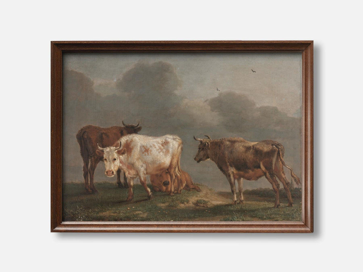 Four Young Bulls in the Pasture (1651) Art Print mockup - A_p5-V1-PC_F+WA-SS_1-PS_5x7-C_def variant