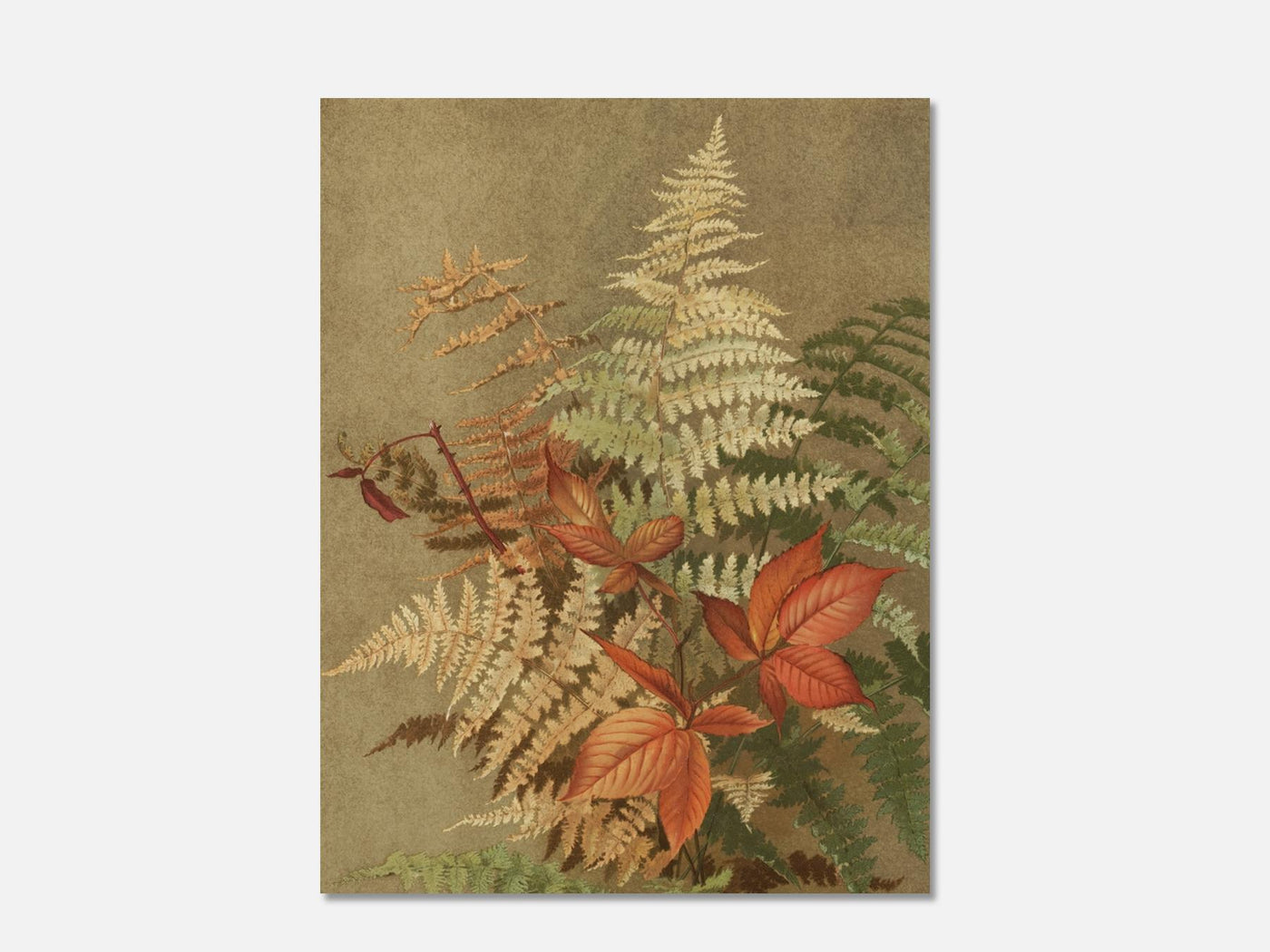 Autumn Ferns mockup - A_bot16-V1-PC_AP-SS_1-PS_5x7-C_def