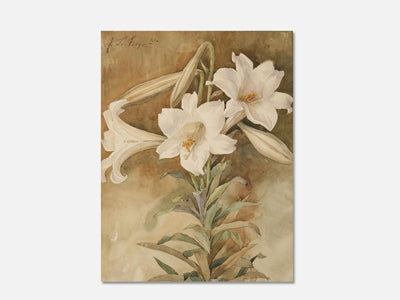 Easter Lilies mockup - A_spr36-V1-PC_AP-SS_1-PS_5x7-C_def variant