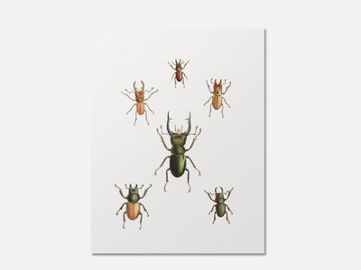 Stag Beetles mockup - A_h7-V1-PC_AP-SS_1-PS_5x7-C_def variant