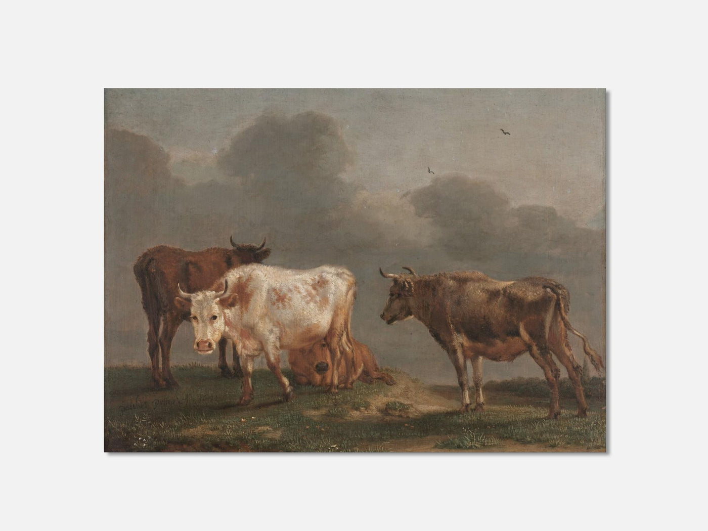 Four Young Bulls in the Pasture (1651) Art Print mockup - A_p5-V1-PC_AP-SS_1-PS_5x7-C_def variant