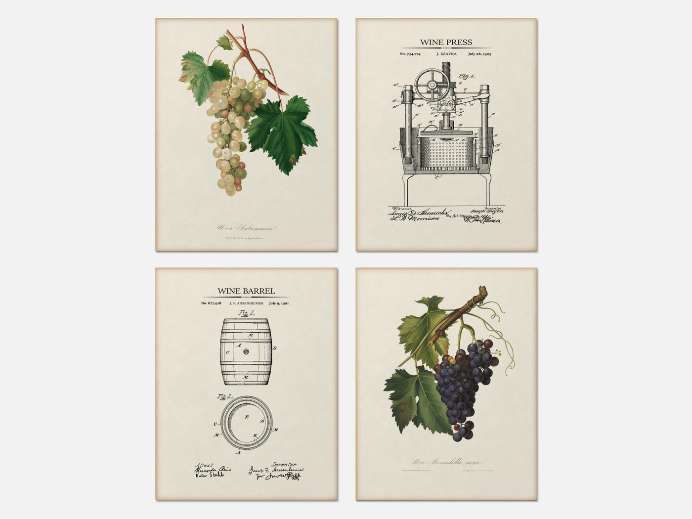 Vintage Wine Cellar Print Set of 4 mockup - A_ms4-V1-PC_AP-SS_4-PS_5x7-C_lpa variant