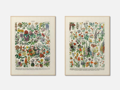 Vintage Floral Print Set of 2 mockup - A_bot5-V1-PC_AP-SS_2-PS_11x14-C_lpa variant